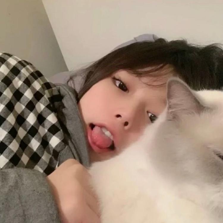 谷田部胜义 - 独家访谈节目在线观看 - 平板影视